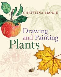bokomslag Drawing and Painting Plants