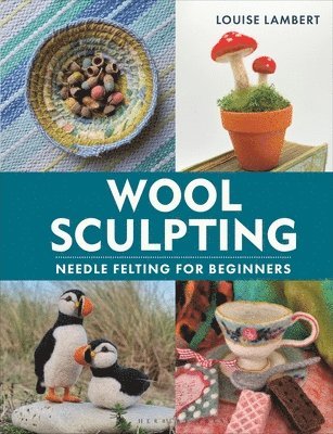 bokomslag Wool Sculpting