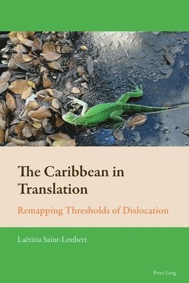 The Caribbean in Translation 1