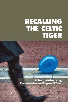 Eamon Maher, Eugene O'Brien, Brian Lucey - Recalling the Celtic Tiger, Häftad
