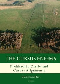bokomslag The Cursus Enigma