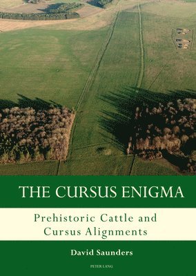 The Cursus Enigma 1