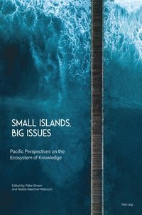 bokomslag Small Islands, Big Issues