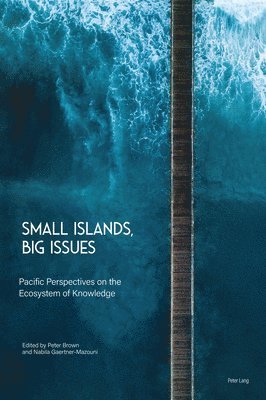 bokomslag Small Islands, Big Issues