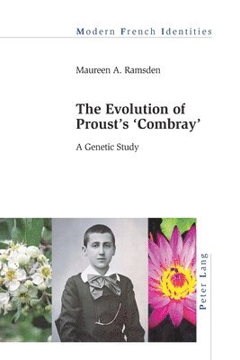 bokomslag The Evolution of Prousts Combray