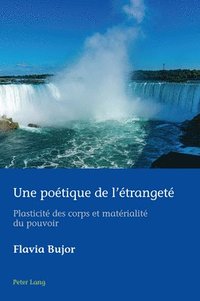 bokomslag Une poetique de l'etrangete