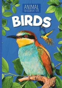 bokomslag Birds