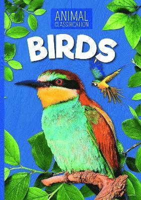 Charlie Ogden - Birds, Häftad