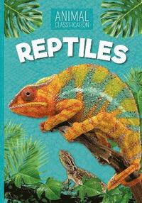 bokomslag Reptiles