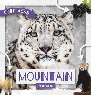 bokomslag Mountain Food Webs