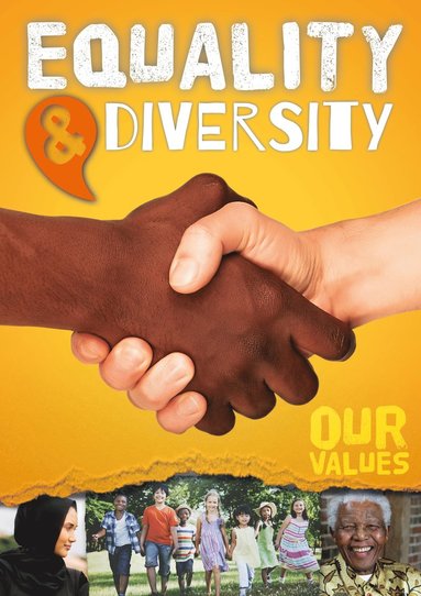 bokomslag Equality and Diversity