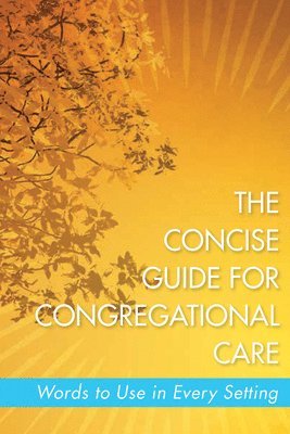 bokomslag Concise Guide for Congregational Care, The