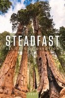 Abingdon Press - Steadfast 2027, Häftad. Tillgänglighet: Lägg i varukorg