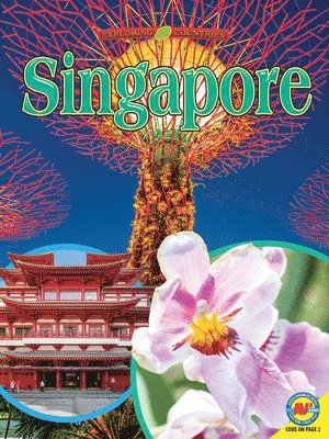 John Perritano - Singapore, Inbunden