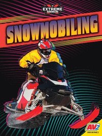 bokomslag Snowmobiling