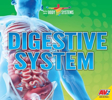 Lily Erlic - Digestive System, Inbunden