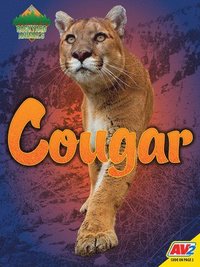 bokomslag Cougar