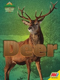 bokomslag Deer