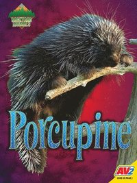 bokomslag Porcupine