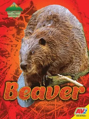 Blaine Wiseman - Beaver, Inbunden. Tillgänglighet: Lägg i varukorg