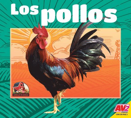Jared Siemens - Los Pollos (Chickens), Inbunden. Tillgänglighet: Lägg i varukorg