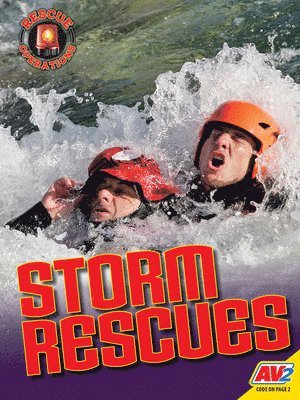 Mark L. Lewis - Storm Rescues, Inbunden
