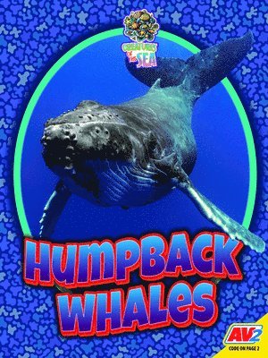 Humpback Whales 1