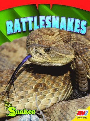 Jessica Coupé - Rattlesnakes, Häftad