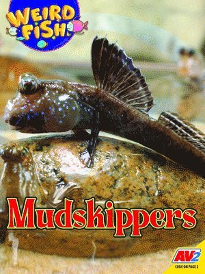 Becky Noelle - Mudskippers, Häftad