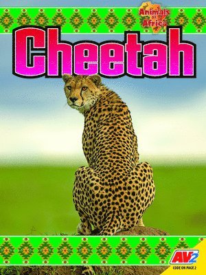 bokomslag Cheetah