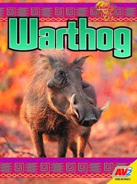 bokomslag Warthog