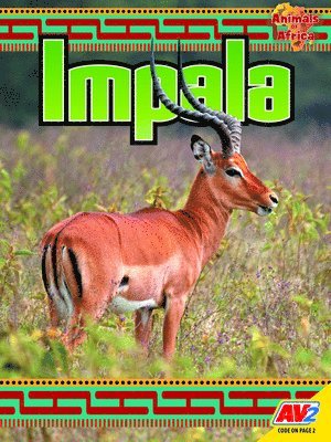bokomslag Impala