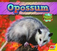 bokomslag Opossum