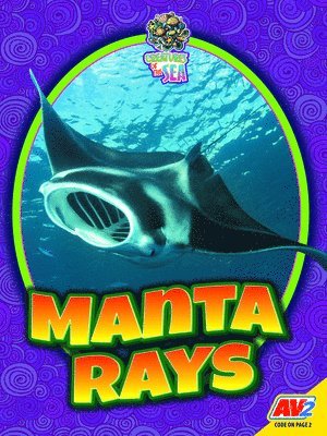 Judy Wearing - Manta Rays, Inbunden