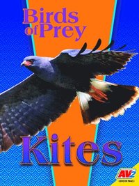 bokomslag Kites