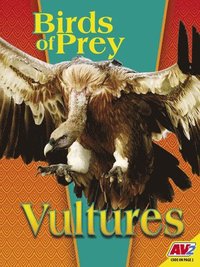 bokomslag Vultures