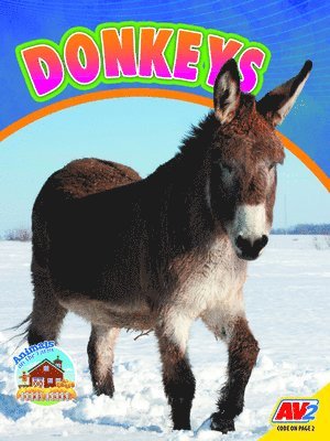 Sierra Wilson - Donkeys, Inbunden