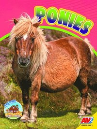 bokomslag Ponies