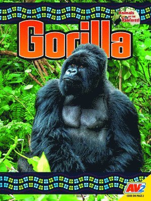 Gorilla 1