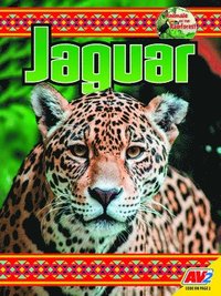 bokomslag Jaguar
