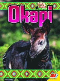 bokomslag Okapi