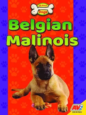 Katie Gillespie - Belgian Malinois, Inbunden. Tillgänglighet: Lägg i varukorg