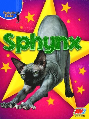 Sphynx 1