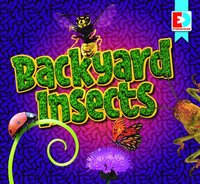 bokomslag Backyard Insects