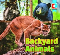 bokomslag Backyard Animals