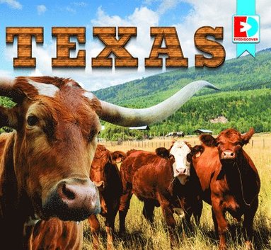 bokomslag Texas