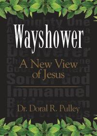 bokomslag Wayshower: A New View of Jesus