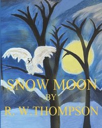 bokomslag Snow Moon