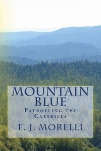 bokomslag Mountain Blue