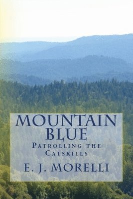 bokomslag Mountain Blue